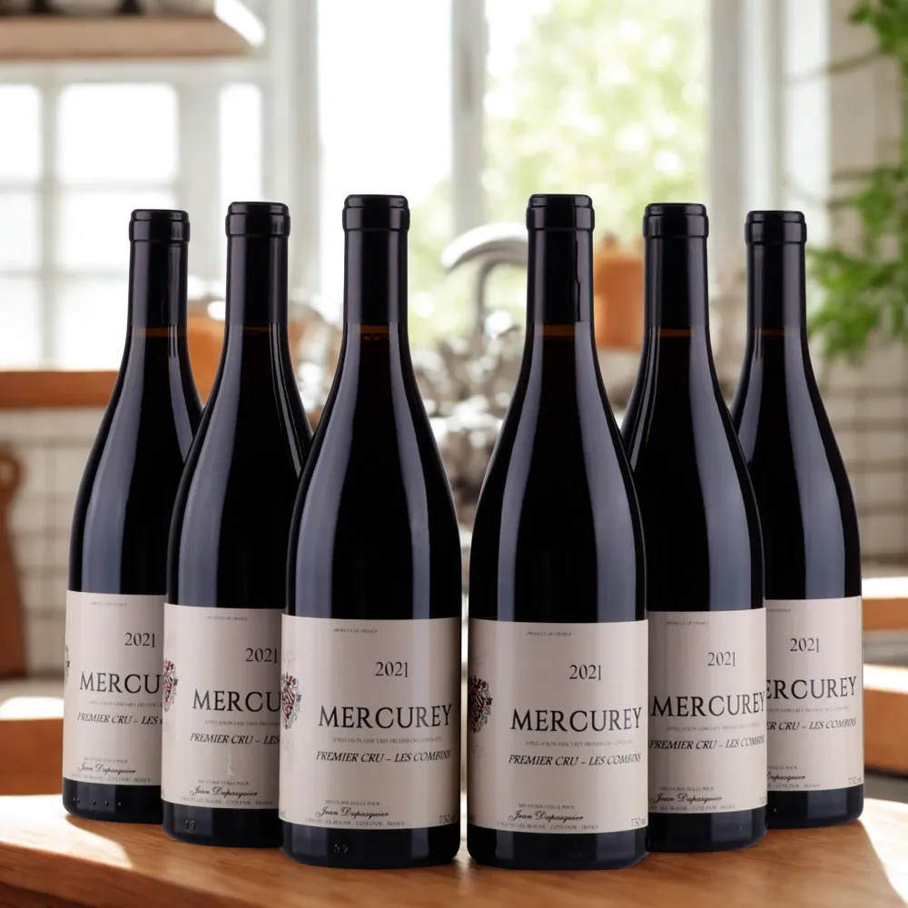 Mercurey - Premier Cru - Les Combins - Jean Dupasquier - 2021