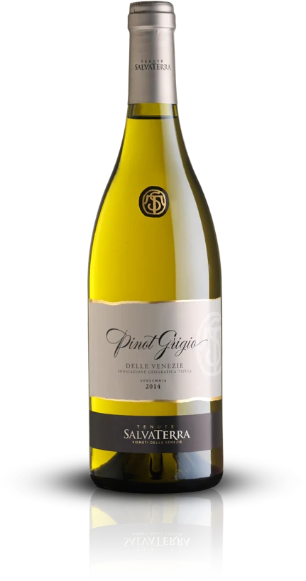 Tenute SalvaTerra - Pinot Grigio delle Venezie DOC