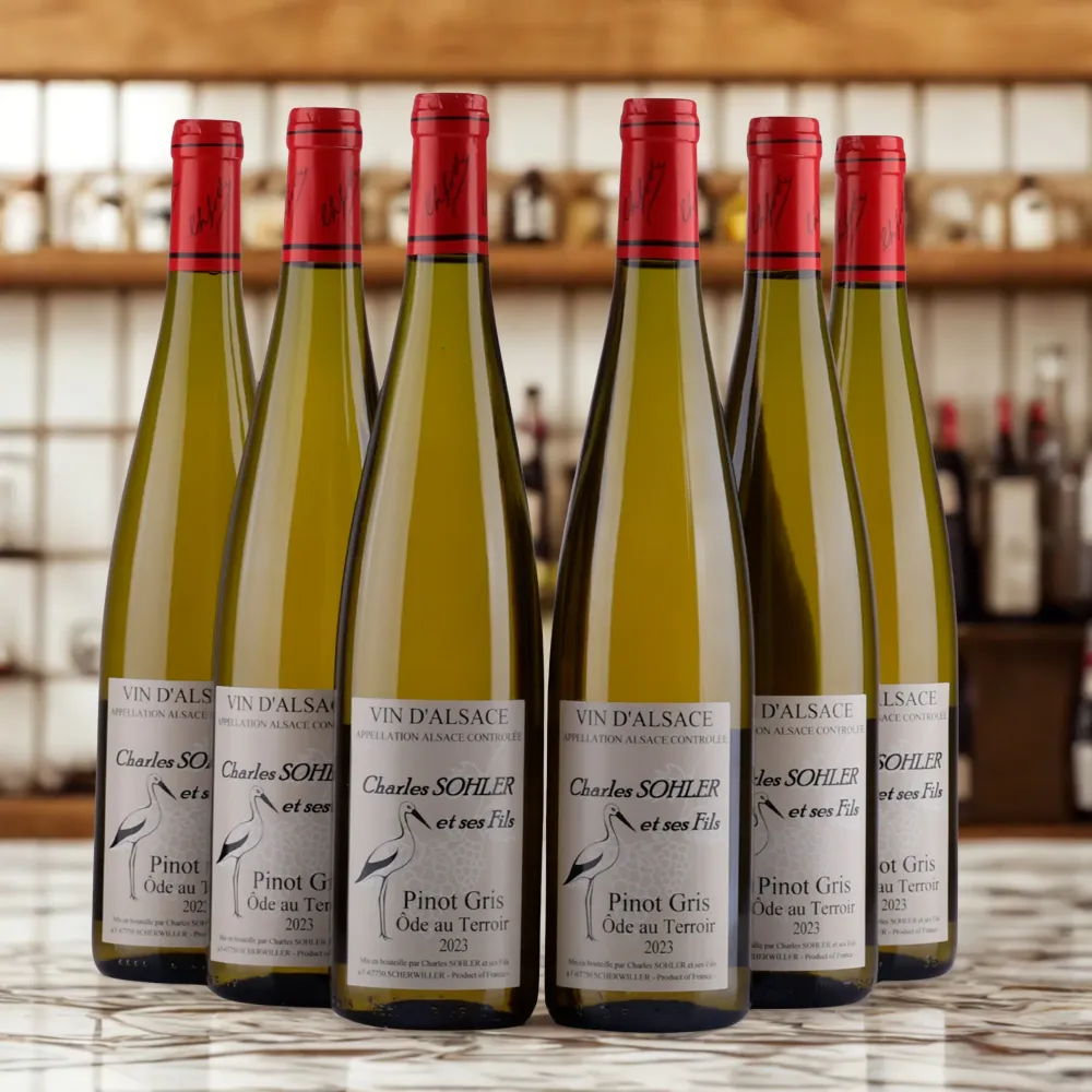 Vin D' Alsace - Pinot Gris - Ode Au Terroir - 2023