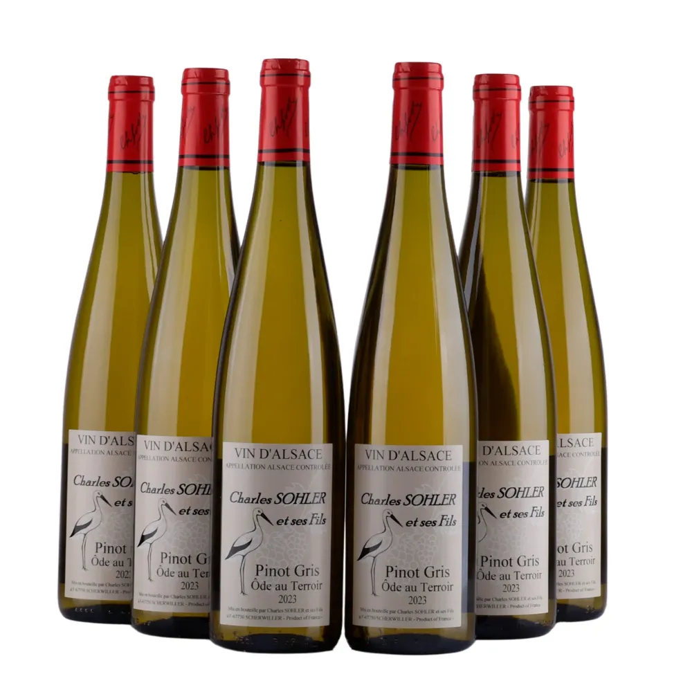 Vin D' Alsace - Pinot Gris - Ode Au Terroir - 2023